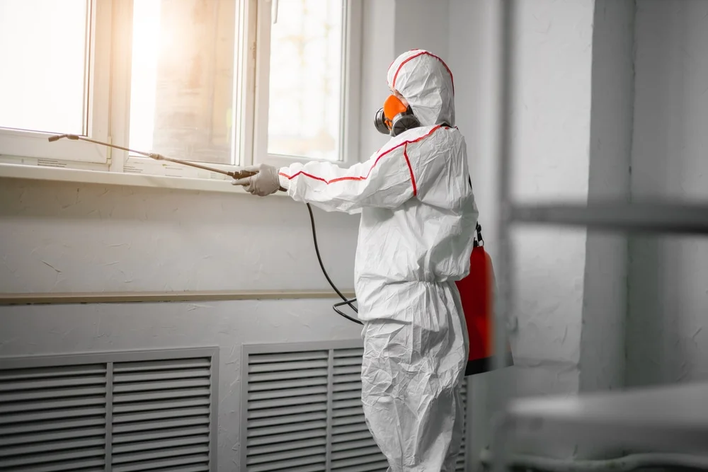 Professional mold remediation services in Port Austin, MI